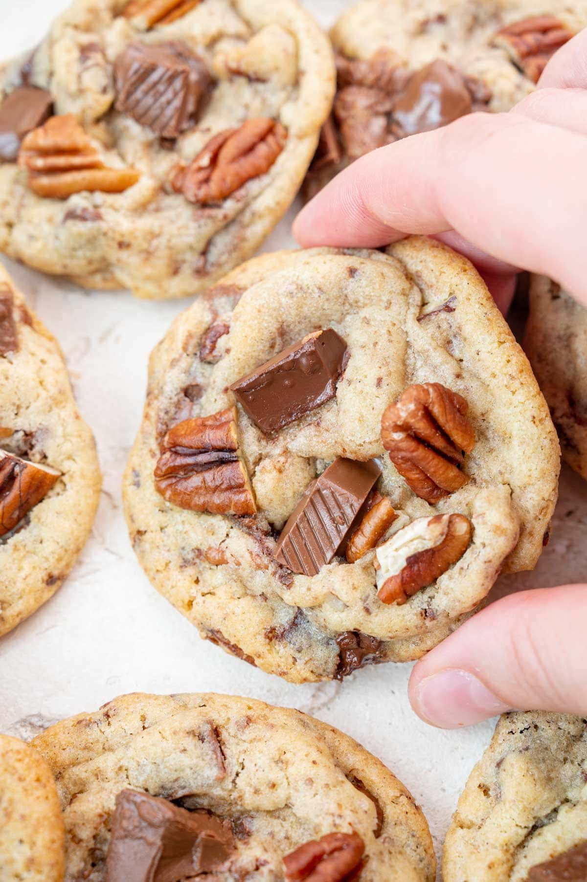 A chocolate chip pecan cookie held in a hand.