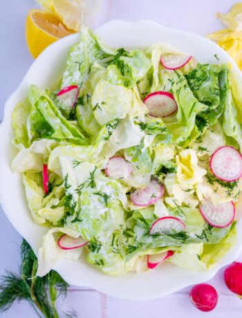 Butter lettuce salad in a white bowl.