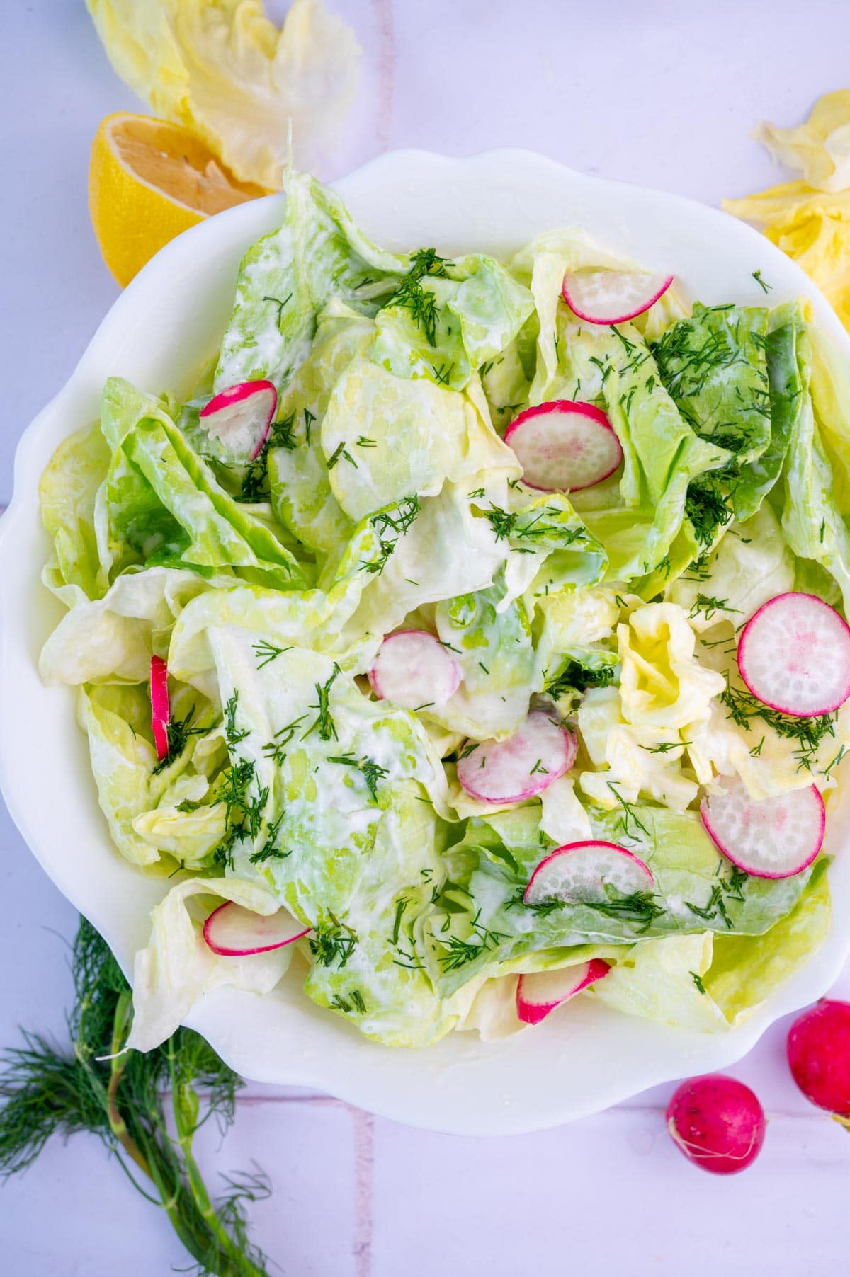 Butter Lettuce Salad with radishes and dill in a white bowl.