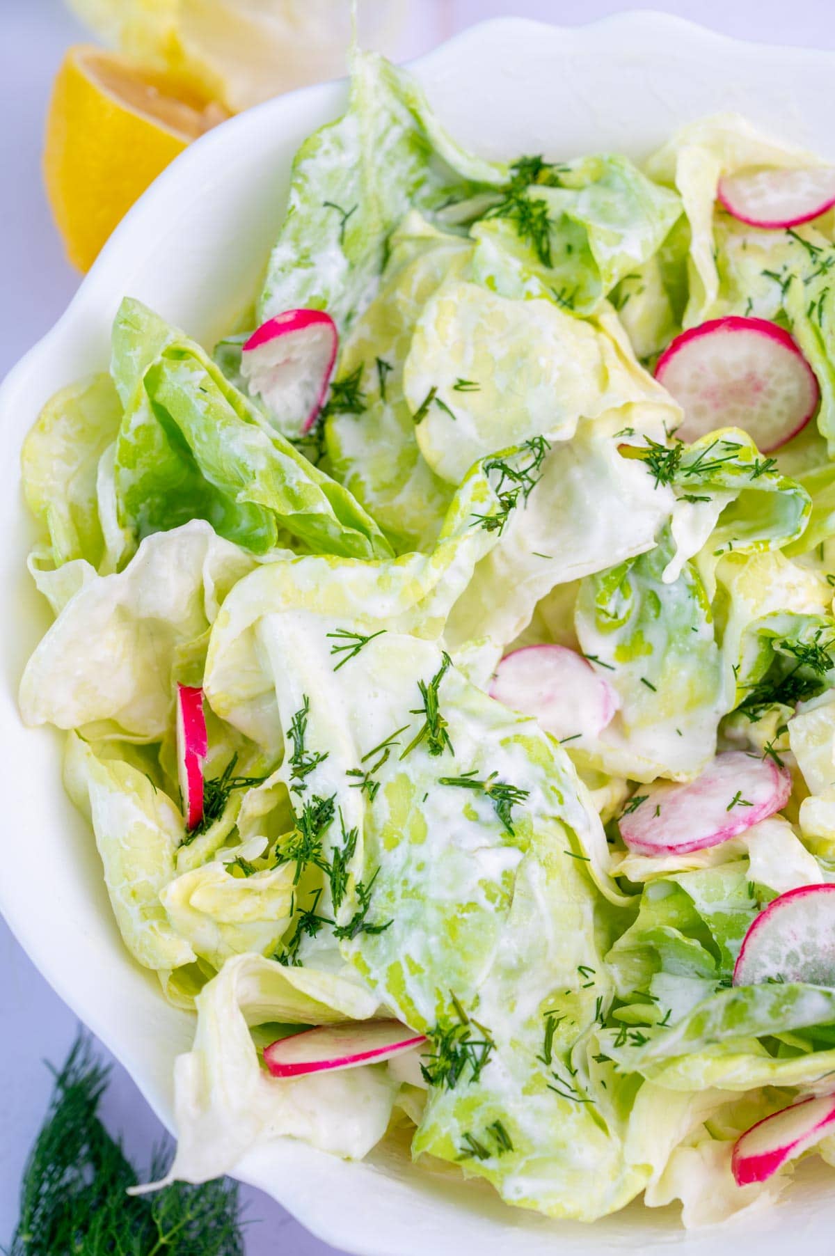 A close up photo of Butter Lettuce Salad with radishes and dill in a white bowl.