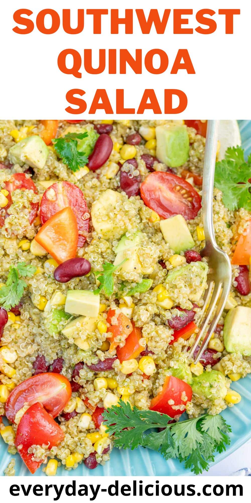 Southwest Quinoa Salad - Everyday Delicious