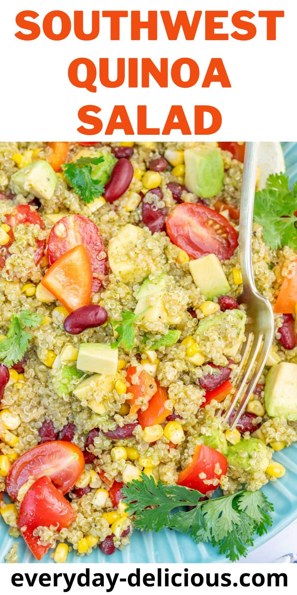 Southwest Quinoa Salad Everyday Delicious