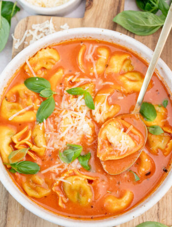 Tomato tortellini soup in a white soup plate sprinkled with parmesan and basil leaves.