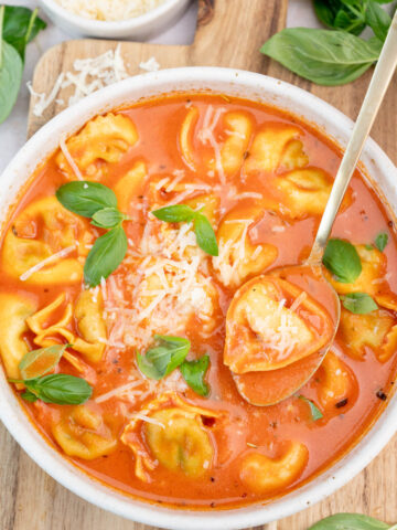 Tomato tortellini soup in a white soup plate sprinkled with parmesan and basil leaves.