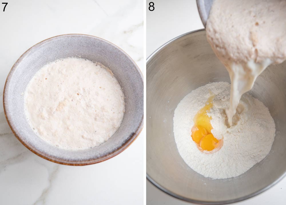 Proofed yeast in a bowl. Yeast-milk mixture is being added to flour in a mixing bowl.