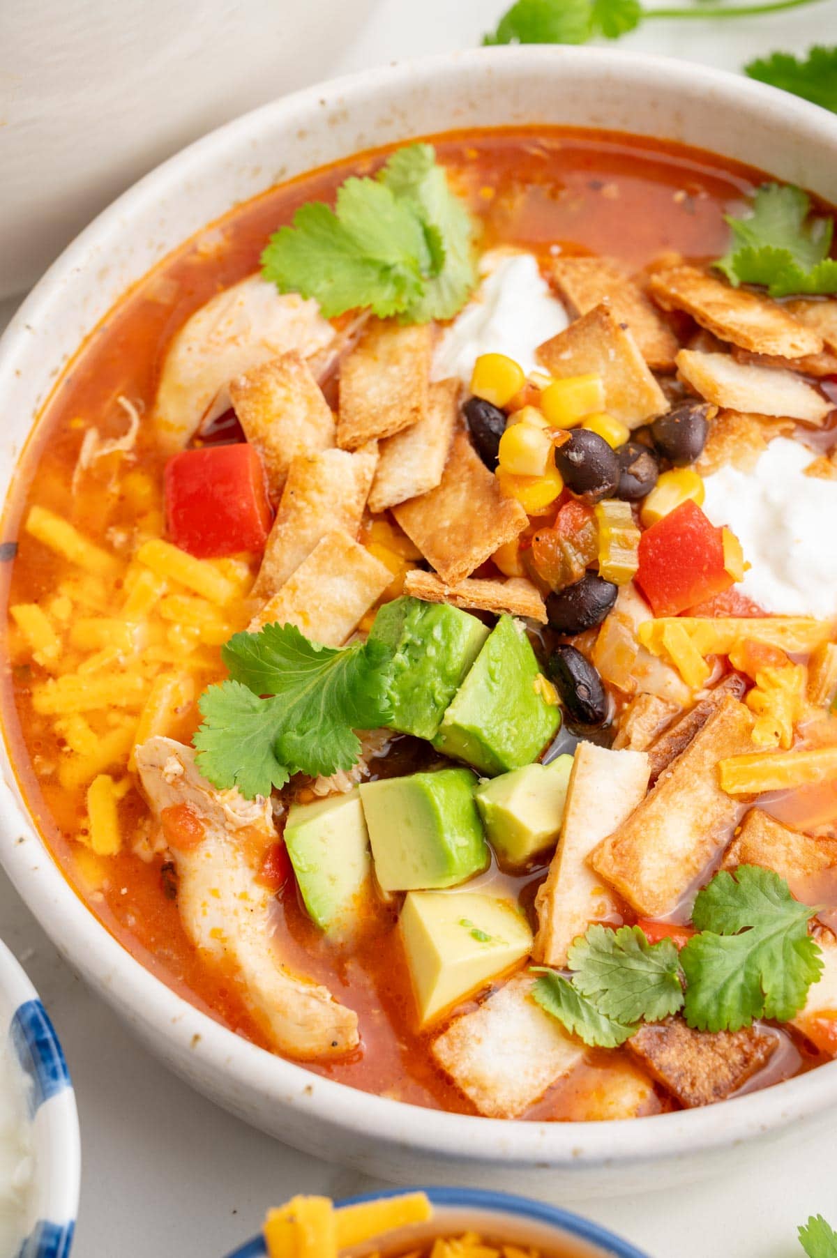 A close up ohoto of chicken tortilla soup in a white bowl.