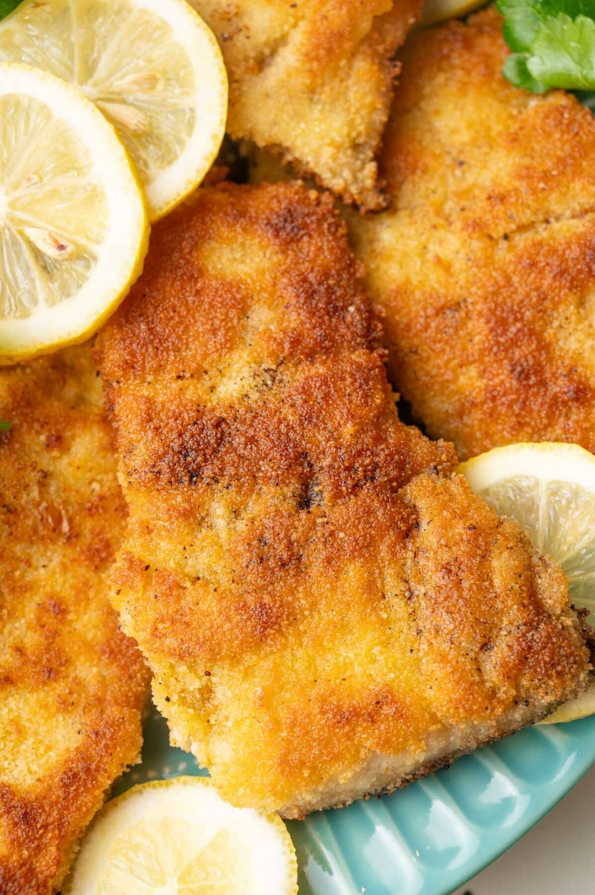 A close up photo of pan-fried carp fillets on a blue plate.