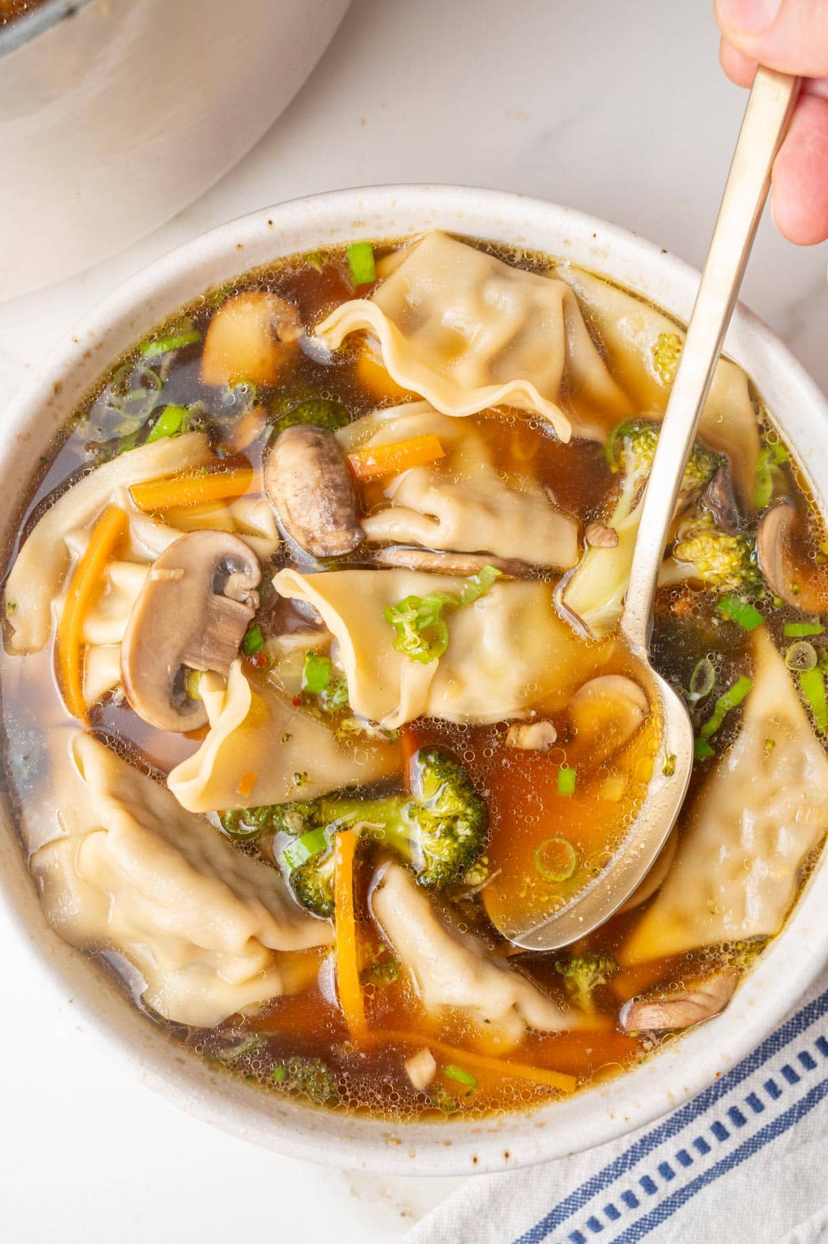 An overhead photo of potsticker soup in a white bowl.