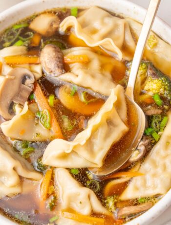 A close up photo of potsticker soup in a white bowl.