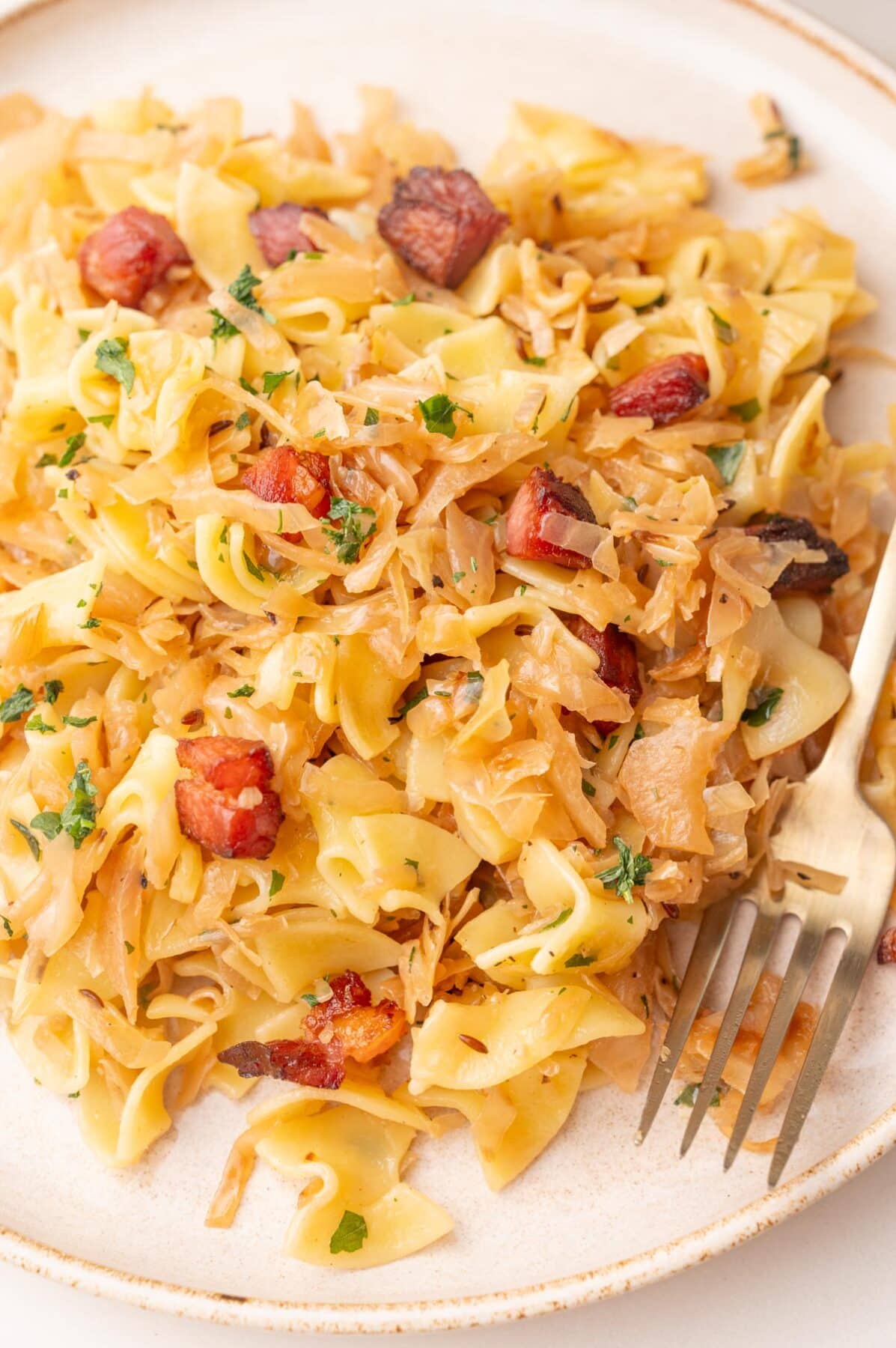 Krautfleckerl (Austrian Noodles and Cabbage) Everyday Delicious