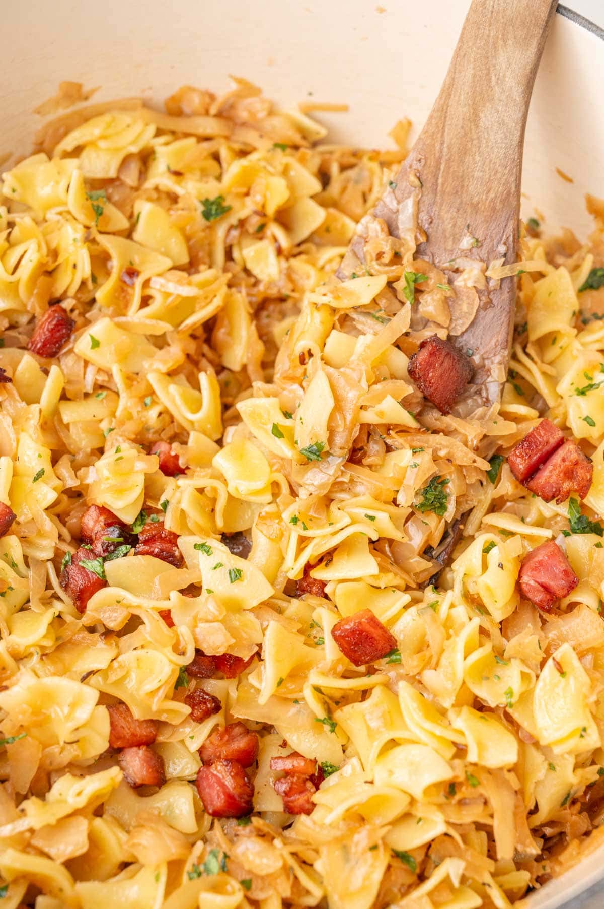 A close up photo of Austrian noodles and cabbage in a pot.