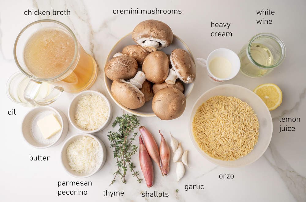 Labeled ingredients needed to make mushroom orzo.