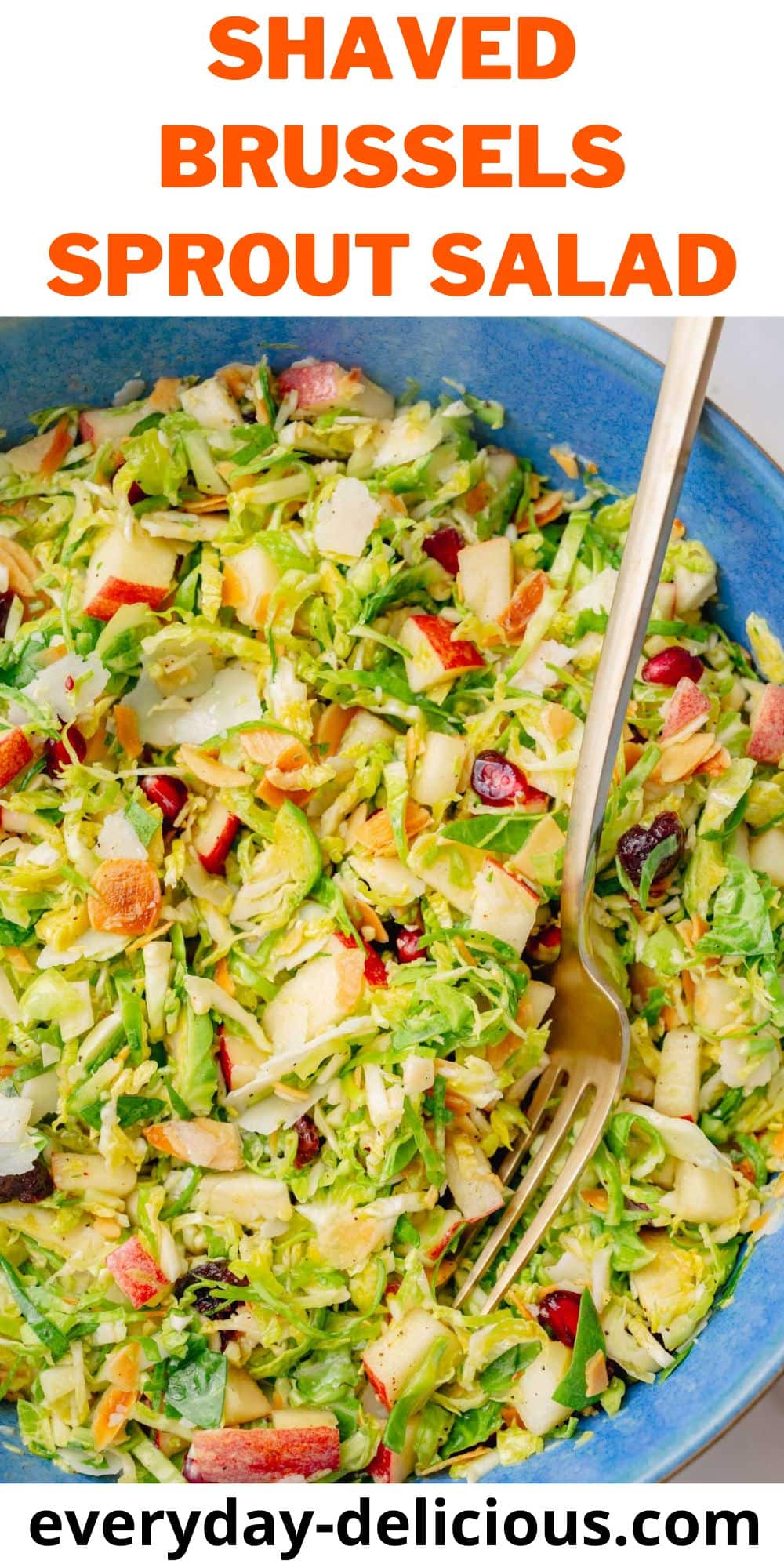 Shaved Brussels Sprout Salad Everyday Delicious