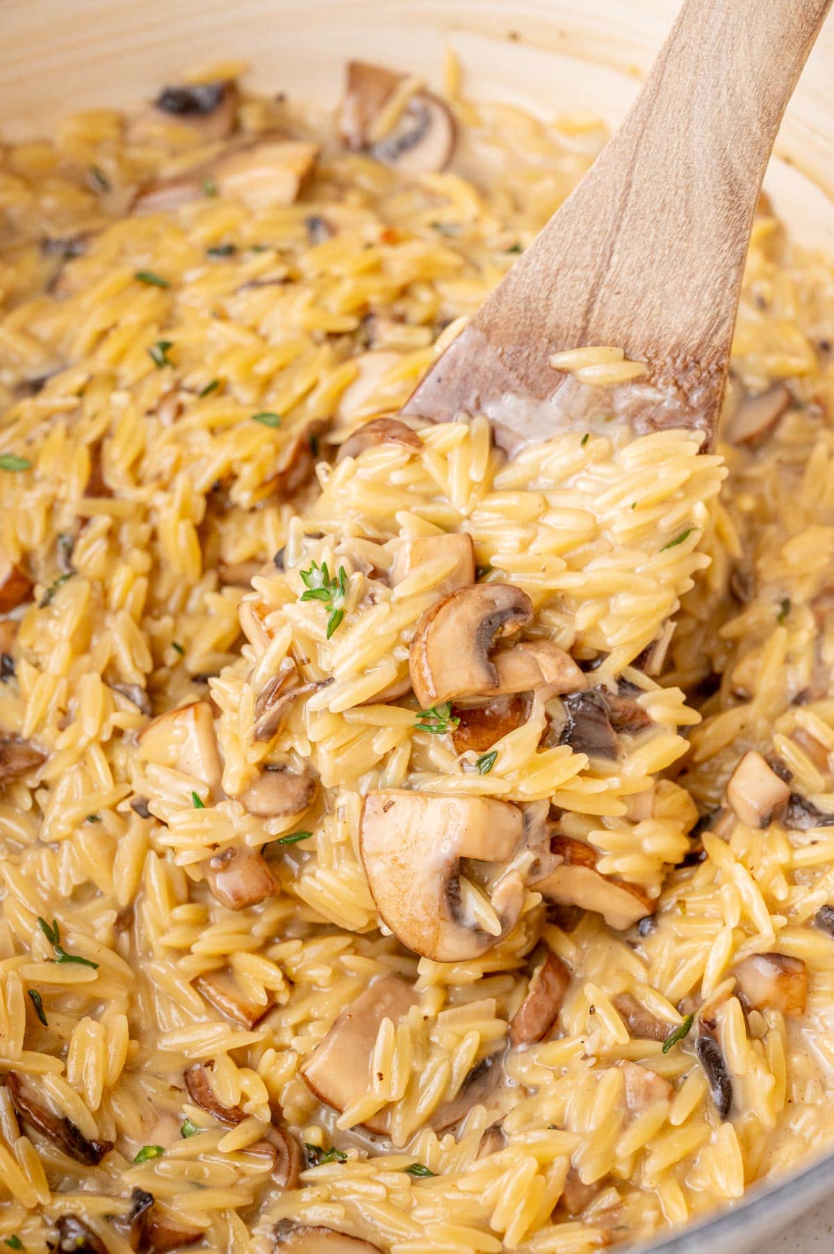 A close up photo of mushroom orzo in a white pot on a wooden spatula.