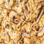 A close-up photo of mushroom orzo on a beige plate.