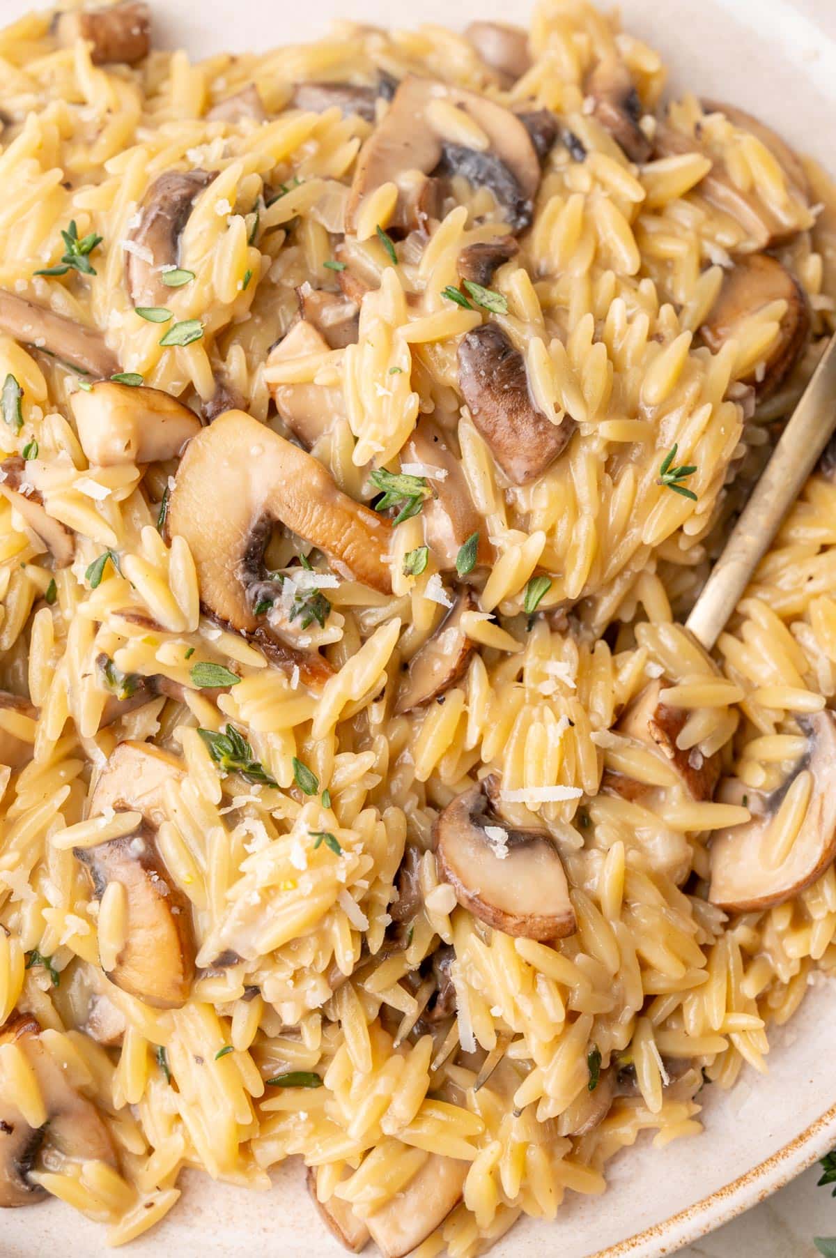 A close up photo of mushroom orzo on a beige plate.