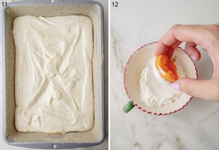 Apricot Raspberry Sponge Cake - Everyday Delicious